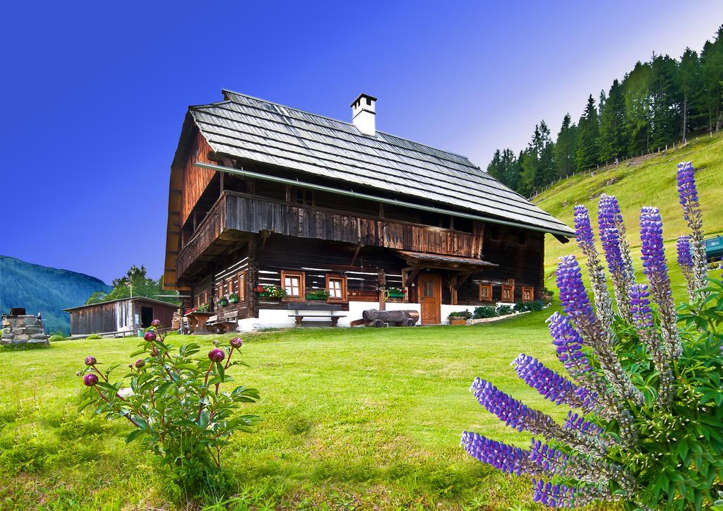 Schrunerhof Ebene Reichenau Habitación foto