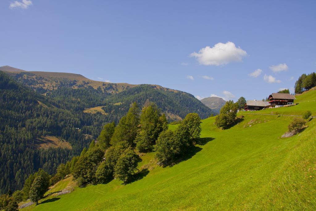 Schrunerhof Ebene Reichenau Habitación foto